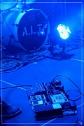 NIK_37146 A.L.T 11-02-2017 (p) (Zz)